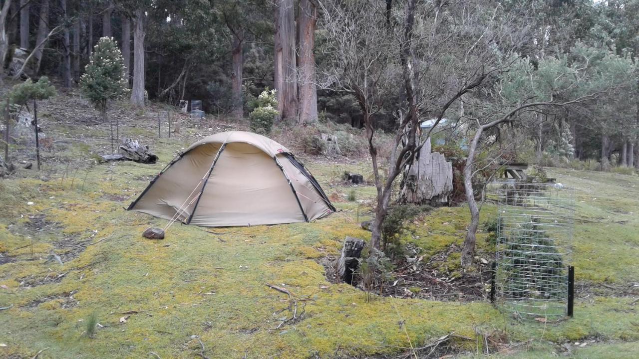 Base Camp Tasmania Hotel New Norfolk Buitenkant foto